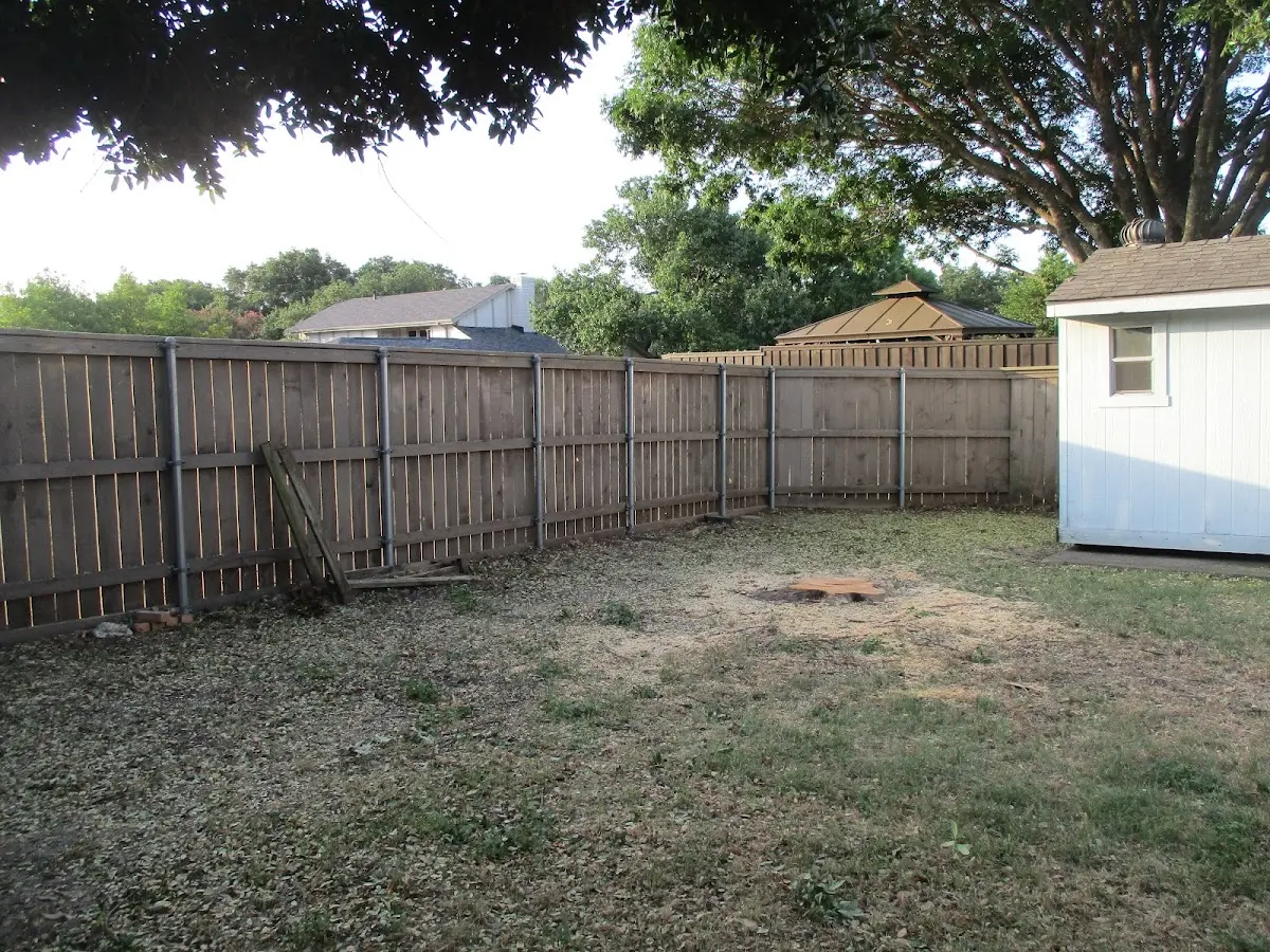 Cleared yard after professional tree removal in Chautauqua